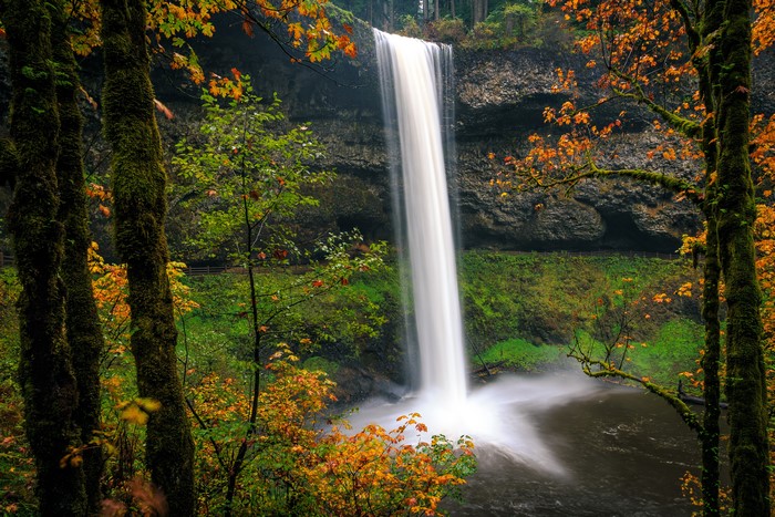 Silver Falls State Park Oregon Waterfall in Autumn