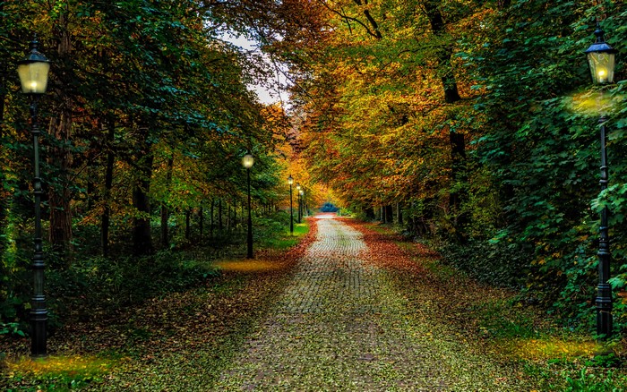 Autumn park path with street lights in Driebergen, Netherlands