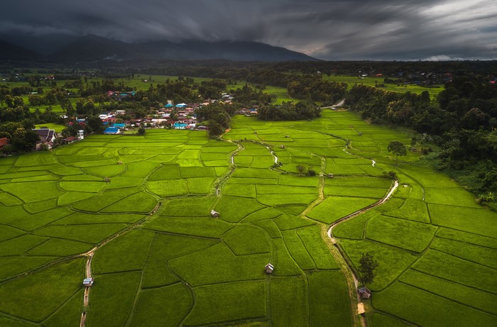 Aerial view of rice fields and a village in Thailand