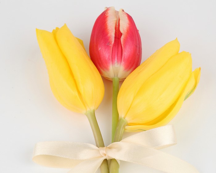 Three tulips tied with a bow