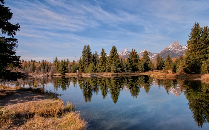 Reflection of Trees and Mountains in a Lake