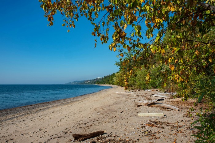 Sandy beach with trees and Lake Ontario
