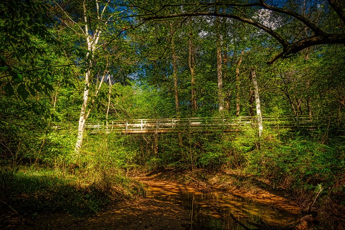 Bridge over creek in Walnut Creek, California forests