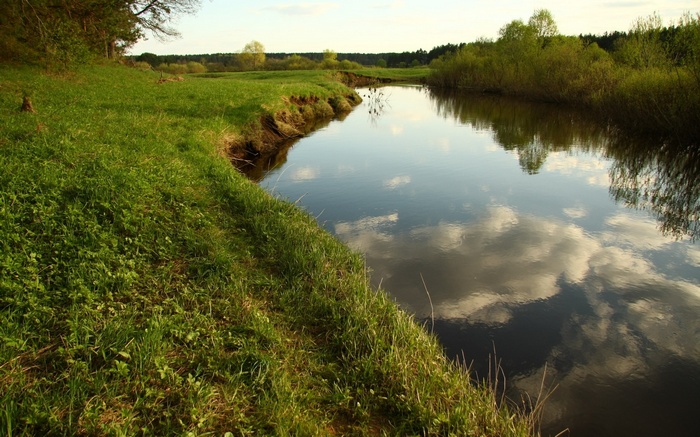 A winding river flows through a green meadow with trees in the background