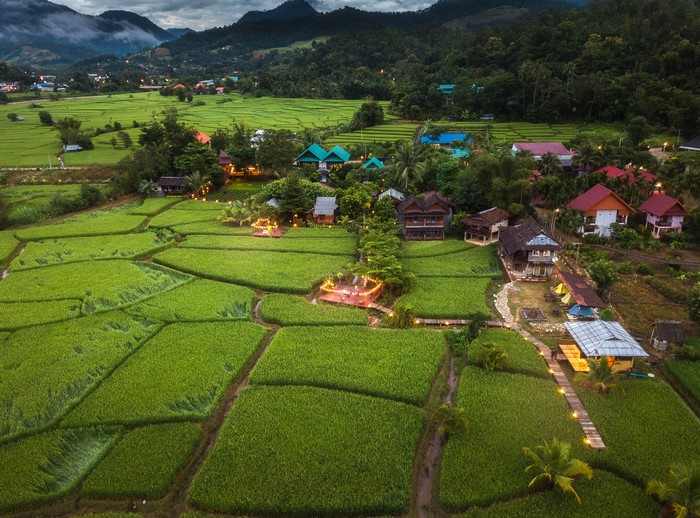 Rice fields and houses in Mae La Noi, Thailand