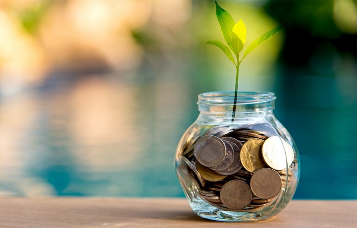 Plant Growing in a Jar of Coins