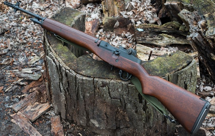 Springfield Armory M1A rifle on a tree stump