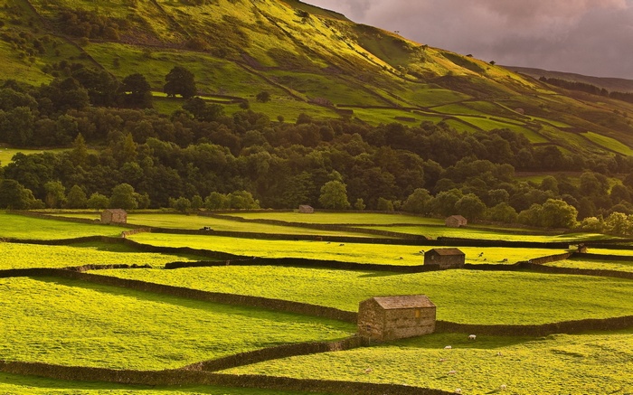 Stone farm buildings in a green, hilly landscape