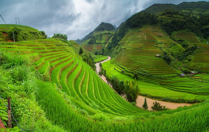 Terraced Rice Fields and River in Vietnam