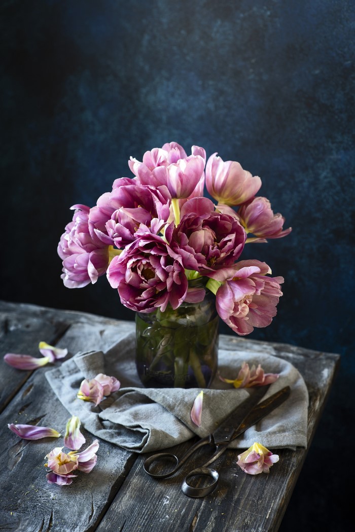 Pink tulips in a jar with scattered petals and scissors