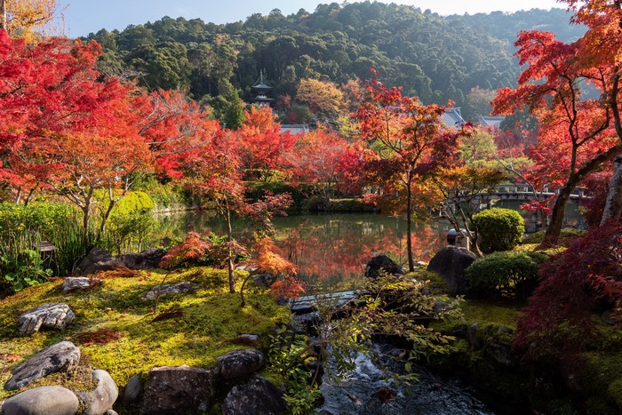 Autumn foliage in a Japanese garden with a pagoda