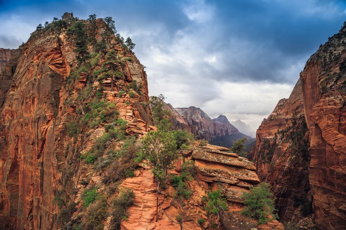 4K Zion National Park Canyon with Trees