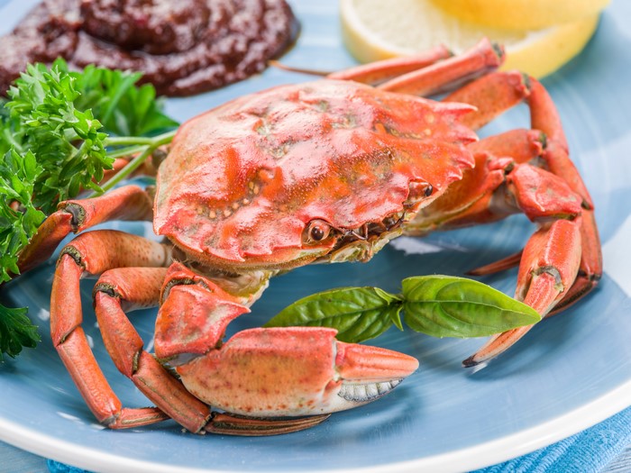 Cooked Crab on a Blue Plate with Lemon and Parsley
