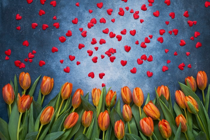 Orange Tulips and Red Hearts on Blue Background