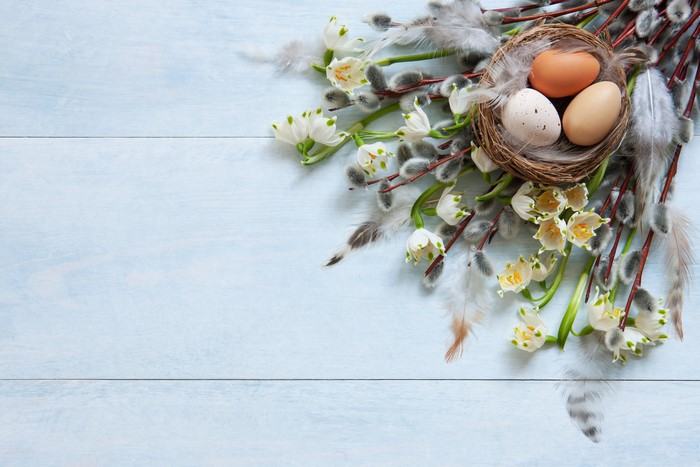 Easter nest with eggs and pussy willow branches