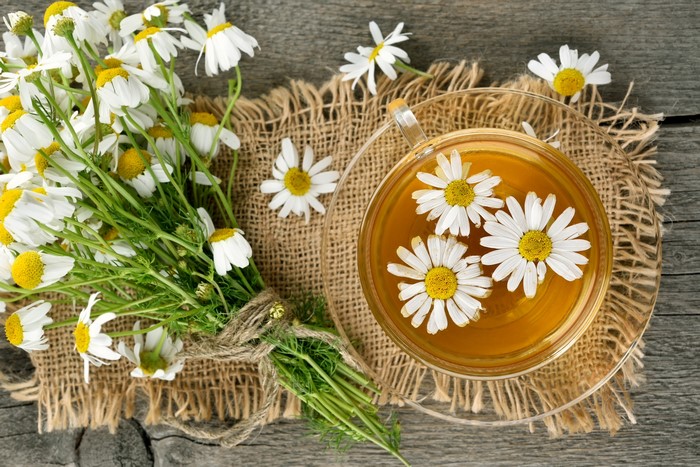 4K Tea with Camomiles in a Cup