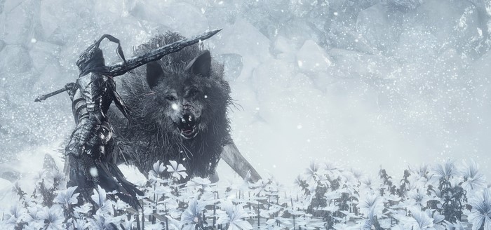 Knight fighting a wolf in Dark Souls III