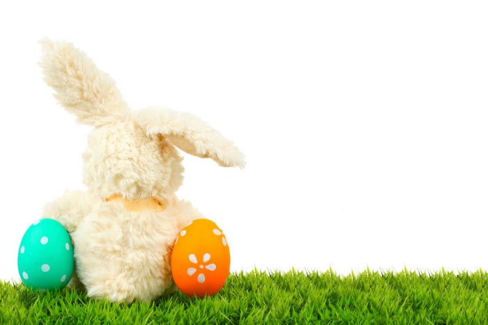 Easter bunny with eggs on grass, white background