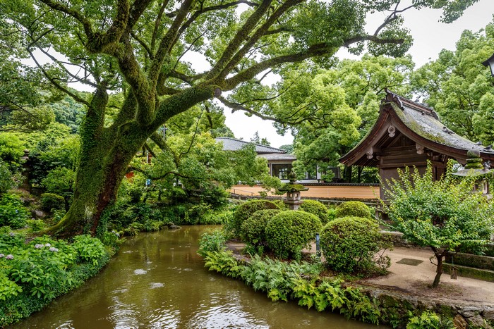 Japanese Garden with Pond and Traditional Building