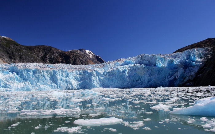 Glacier calving into a bay with icebergs