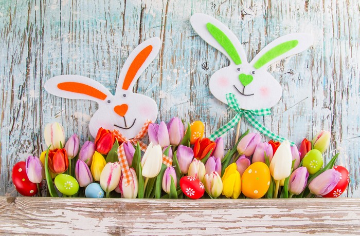 Easter Rabbits and Tulips