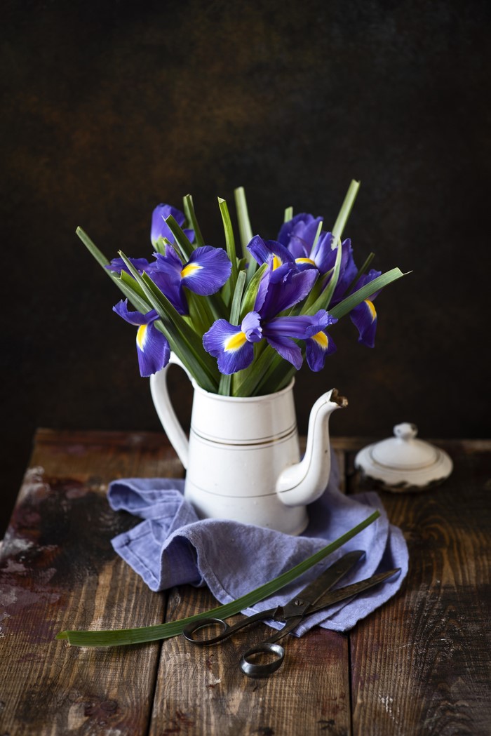 Purple irises in a white kettle on a wooden table