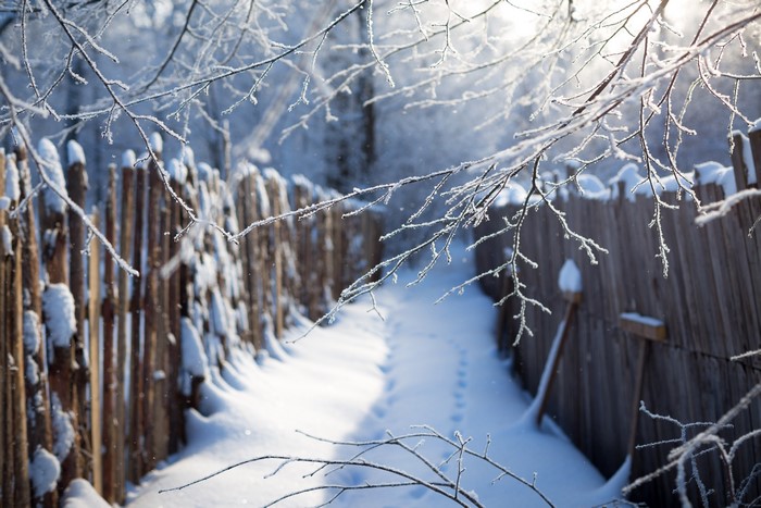 Winter path with snow-covered fence and frosted branches