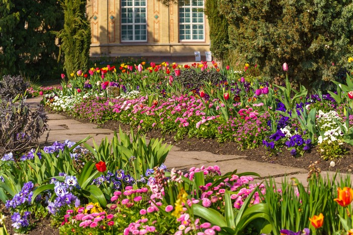 Flower garden with tulips and pansies in Karlsruhe, Germany