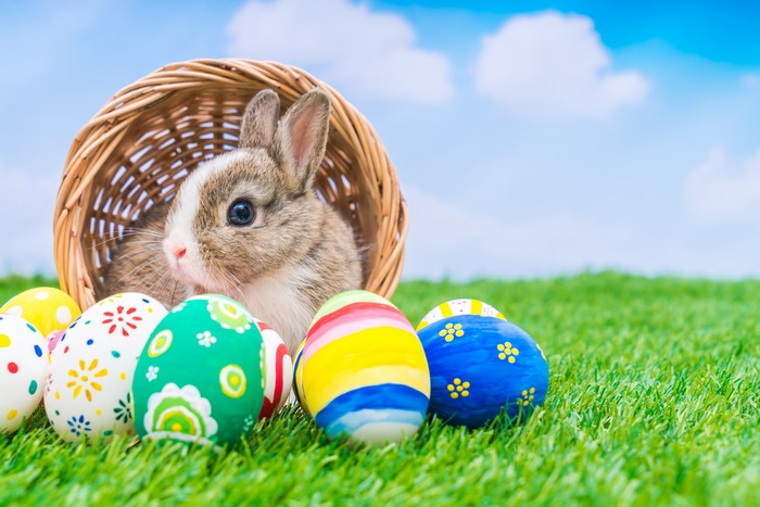 4K Easter bunny in a basket with decorated eggs on grass