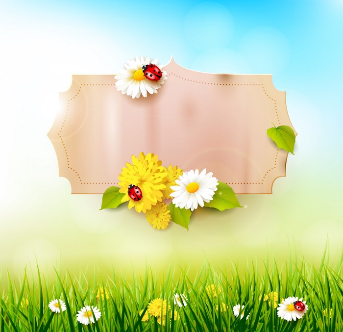 Spring greeting card template with flowers and ladybugs