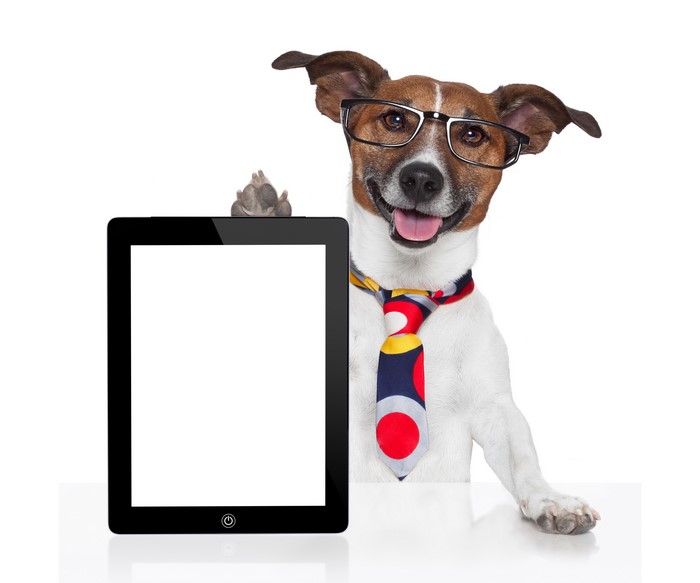 Jack Russell Terrier with Glasses and Tie Holding Tablet