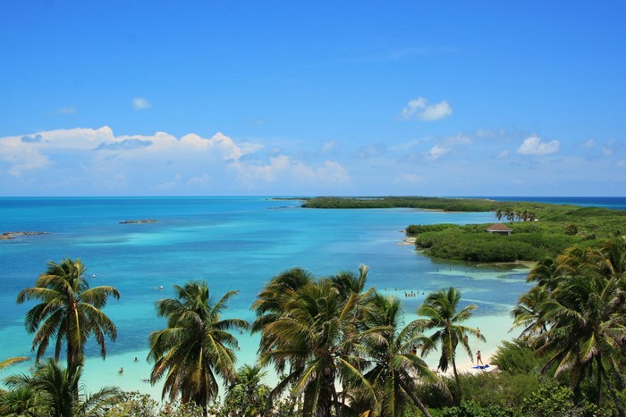 Cancun Coastline with Palm Trees and Turquoise Sea