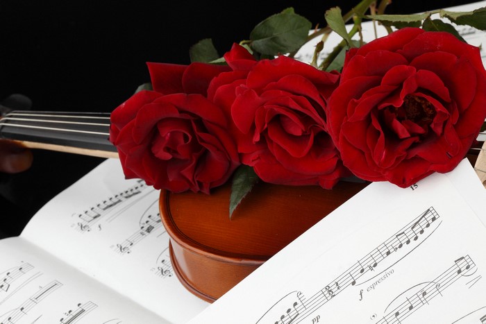 Red Roses on Violin and Sheet Music