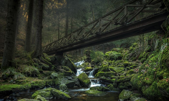 Ravennaschlucht Forest Stream with Waterfalls in Germany