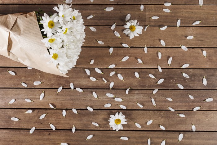 White Camomiles on Wood Planks with Petals