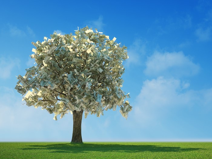 Tree with Money on Branches