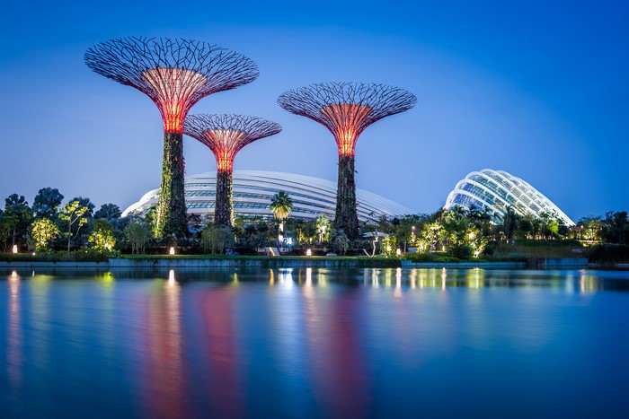 Gardens by the Bay Singapore at dusk with Supertrees