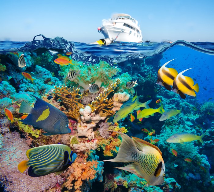 Underwater coral reef with various fish and a boat