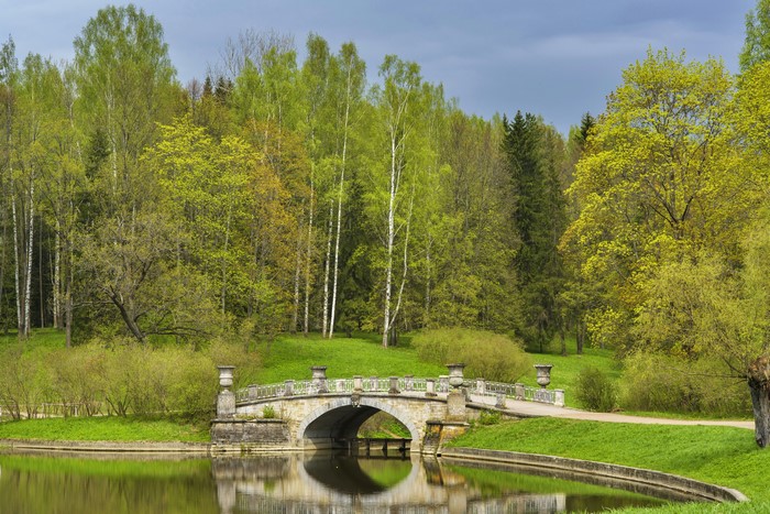 Stone bridge over a river in Pavlovsk Park, Russia