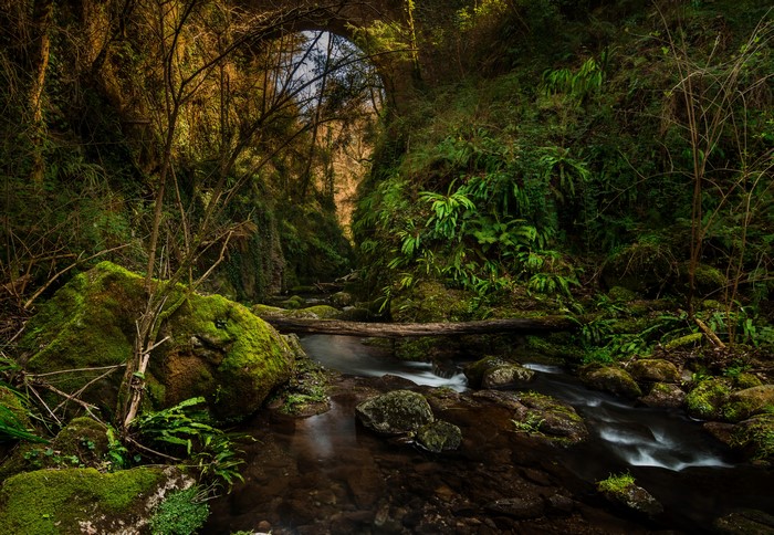 River flowing through a mossy canyon in El Sallent, Catalonia, Spain