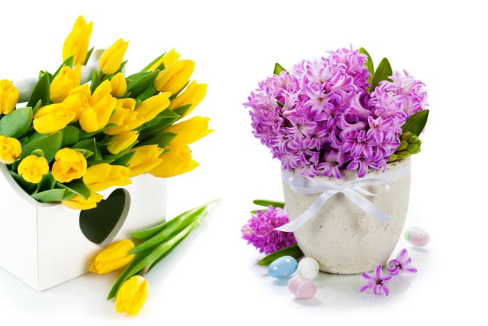 Yellow Tulips and Purple Hyacinths with Easter Eggs