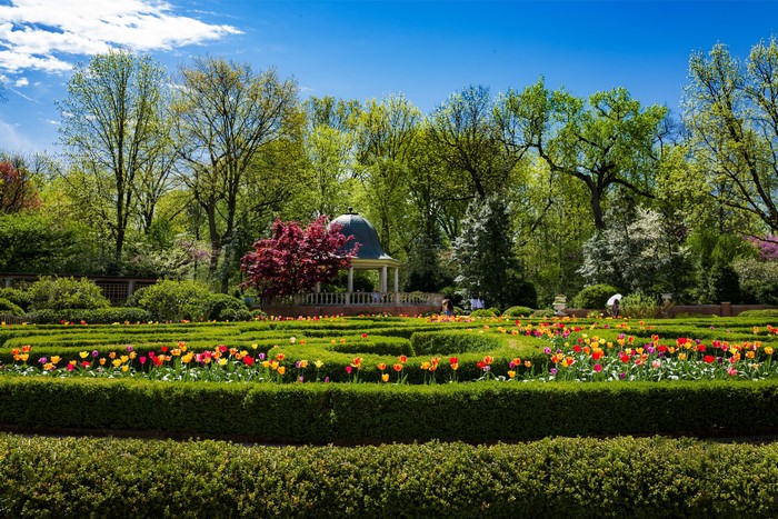 Missouri Botanical Garden with Tulips and Gazebo