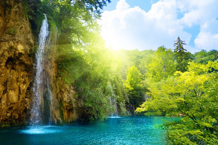 Waterfall in a lush green forest with sun rays