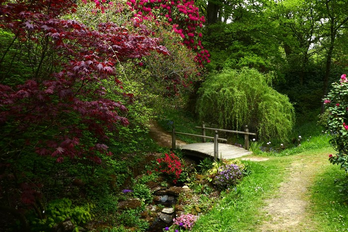 Ramster Gardens Wooden Bridge and Stream