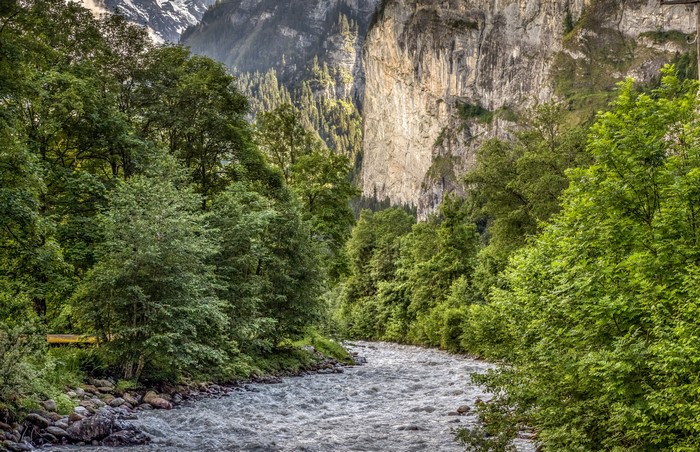 River flowing through a forest with a cliff face in Switzerland