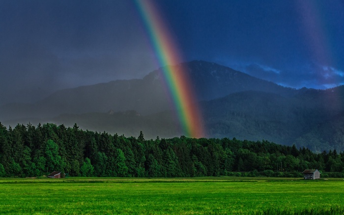 Rainbow over a forest and mountains