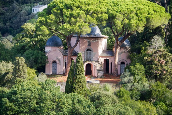 Pink building with domes surrounded by trees