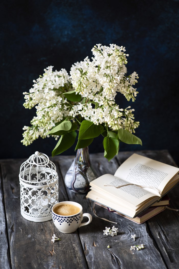 Still life with white lilac, coffee, and book