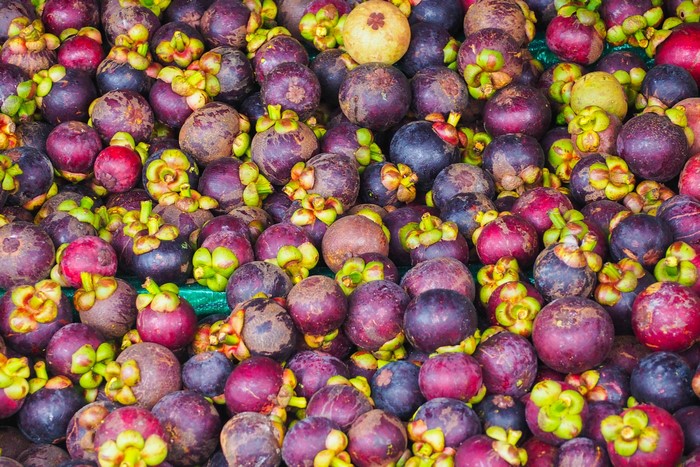 A pile of fresh mangosteen fruits