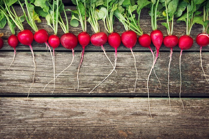Radishes on Wood Planks